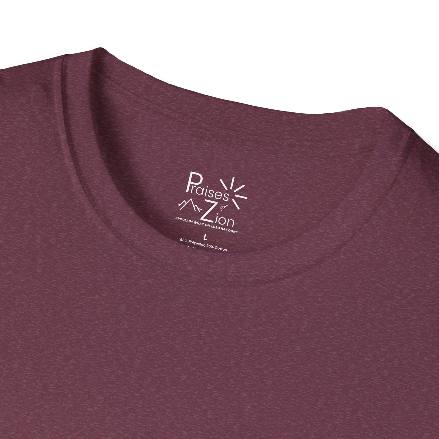 I Have Standards! T-Shirt
