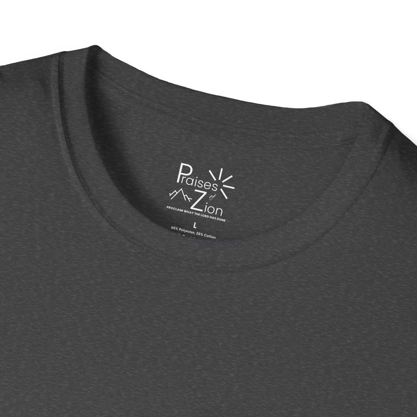 I Have Standards! T-Shirt